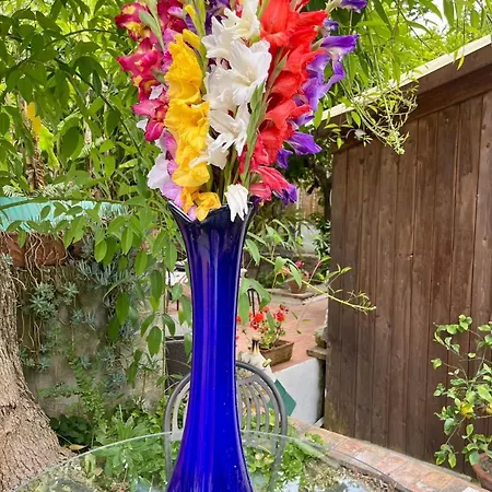 Maison d'hôtes Striano Boutique Capri