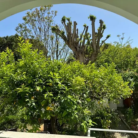 Striano - - Garden&art