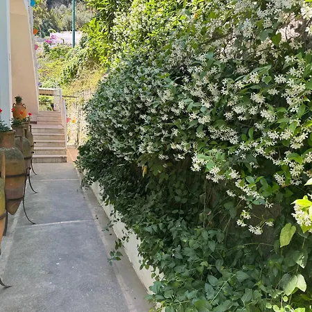 Striano Boutique בית הארחה