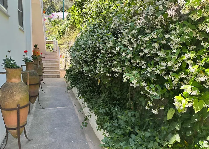 Striano Boutique Πανσιόν